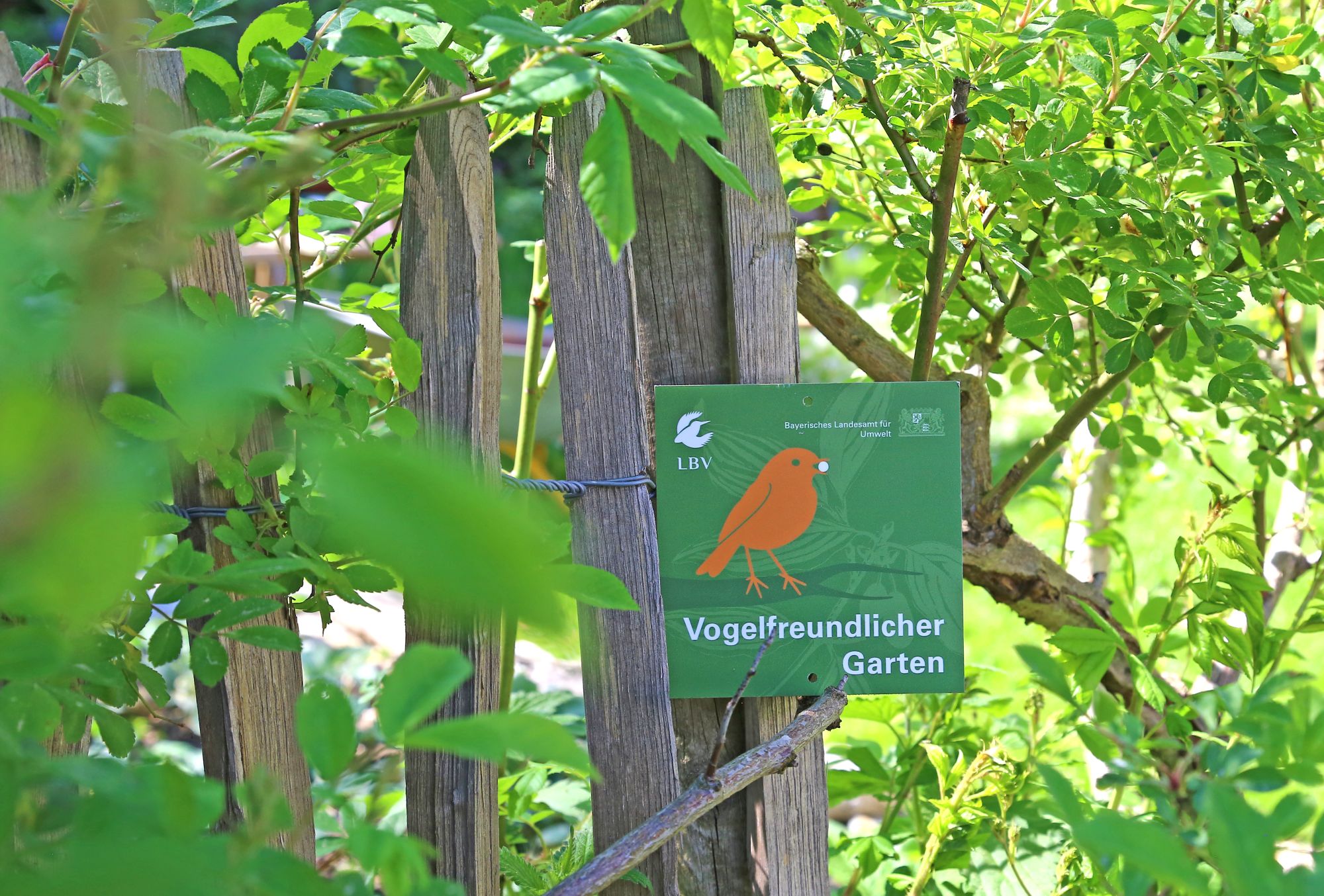 Projekt Vogelfreundlicher Garten Jetzt mitmachen! LBV